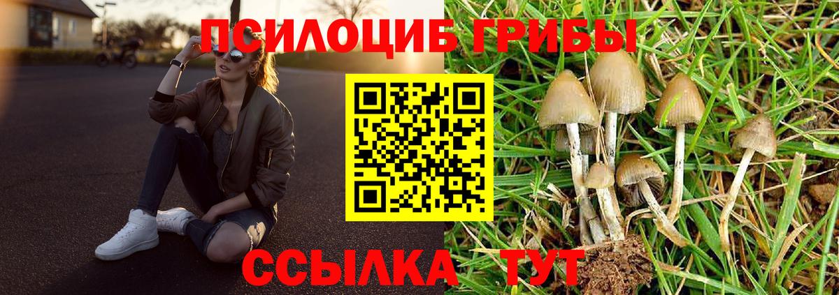 Киров  Галлюциногенные грибы Psilocybine cubensis  что такое наркотик  Вход с VPN 